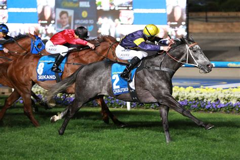 manikato stakes|manikato racehorse.